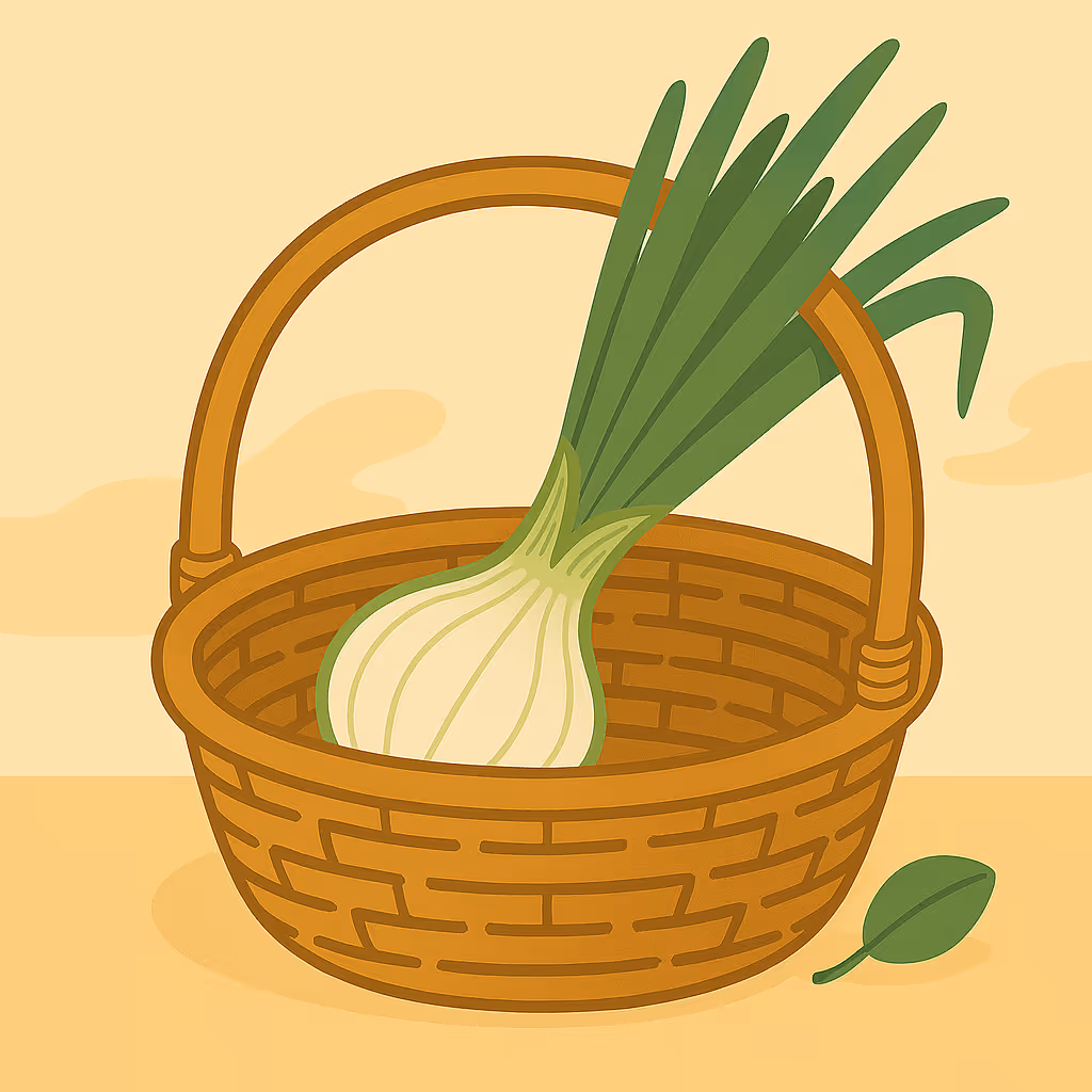 At 26 weeks, your baby is now about the size of a Spring Onion, bringing them to about 2 pounds in weight.