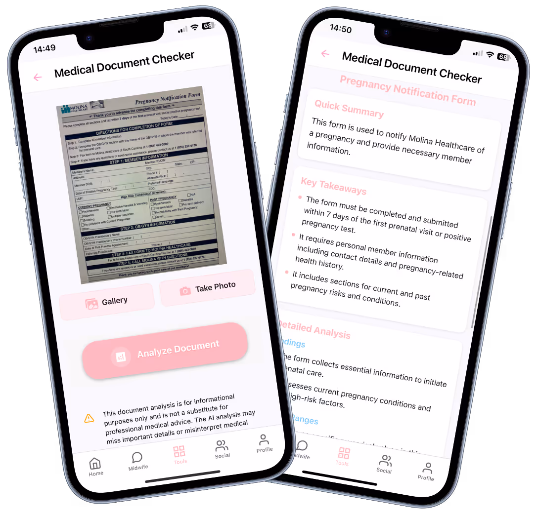 Pregnancy Medical Document Explainer